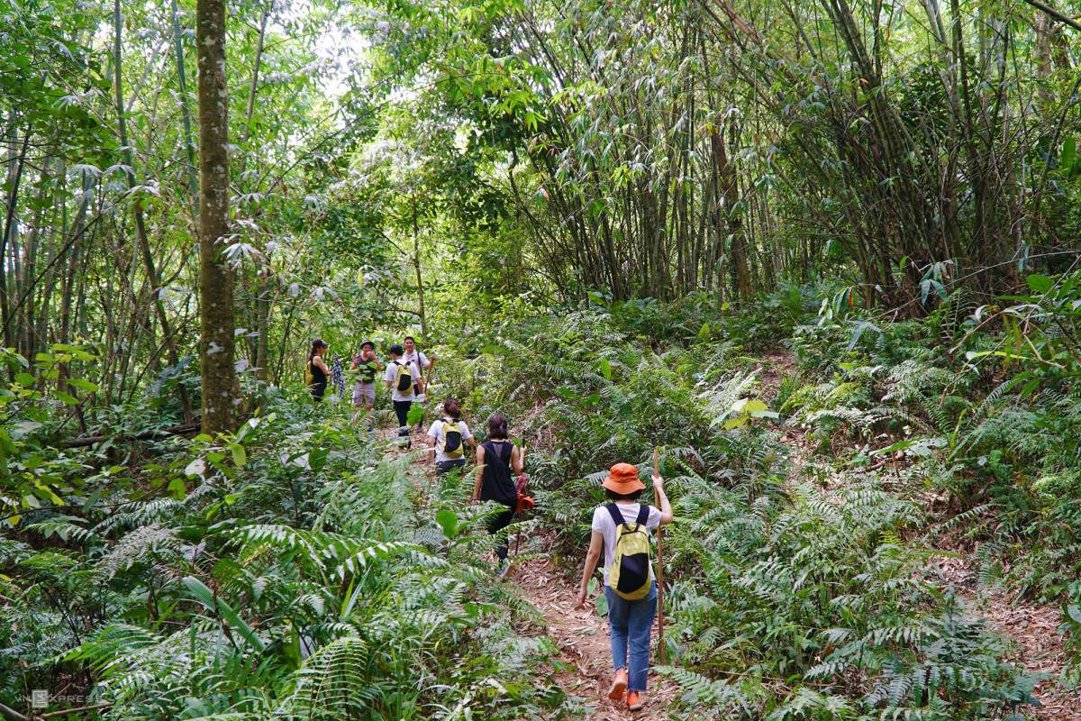 Kinh nghiệm trekking hang Giếng Voọc Quảng Bình chỉ 1 ngày 3