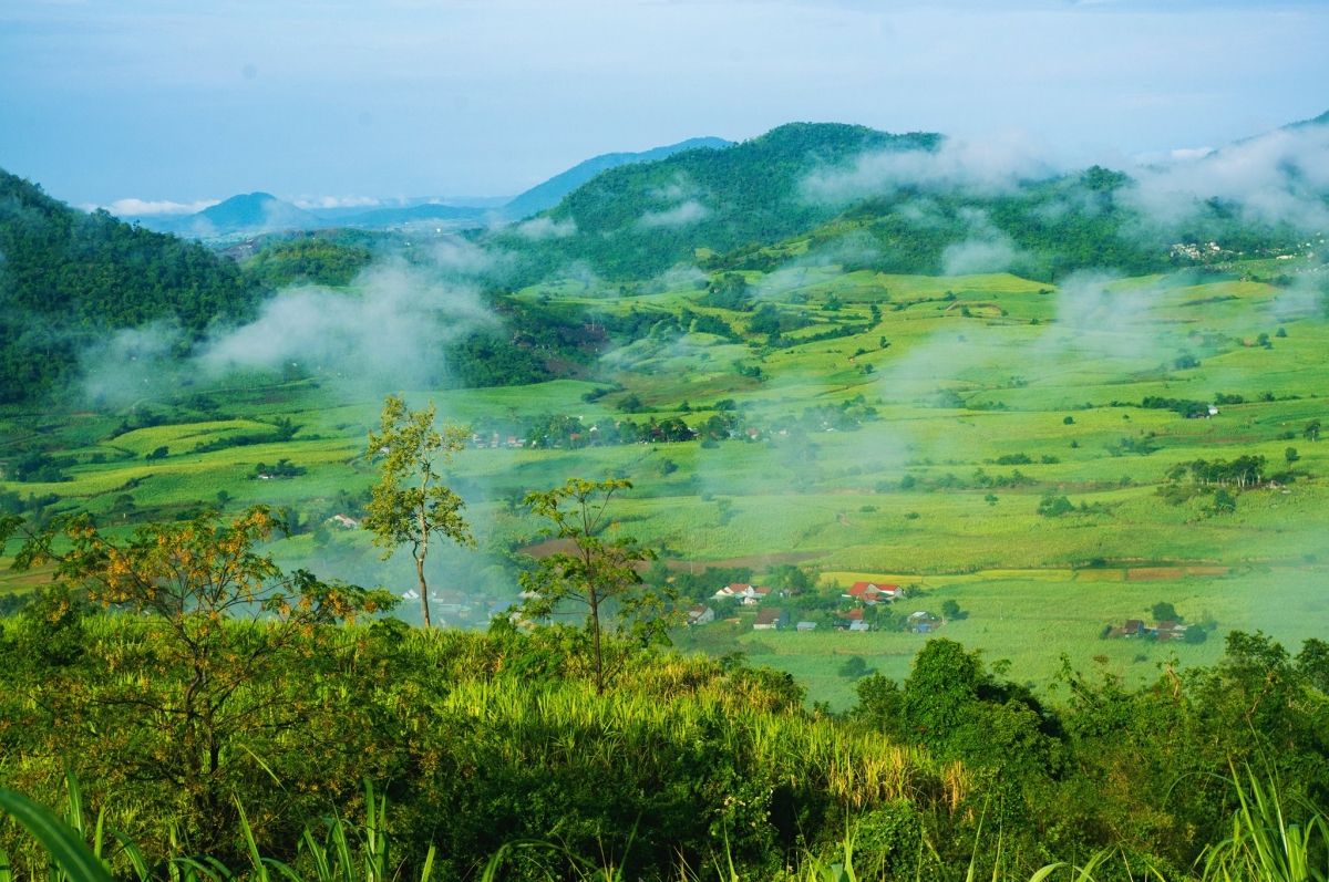 Kinh nghiệm vi vu mùa hè Phú Yên từ A đến Z 9