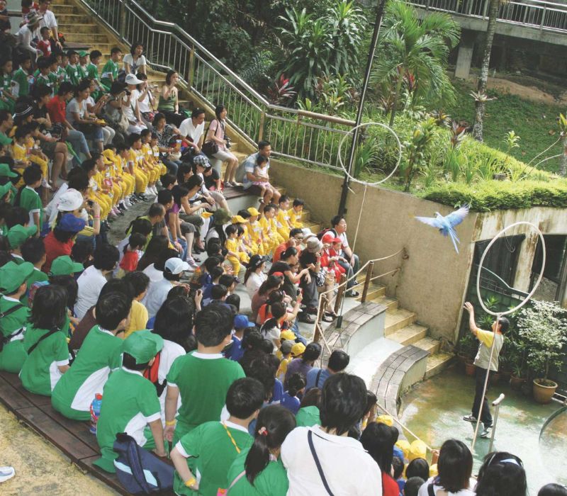 KL Bird Park, thiên đường chim muông ngay tại Kuala Lumpur 2