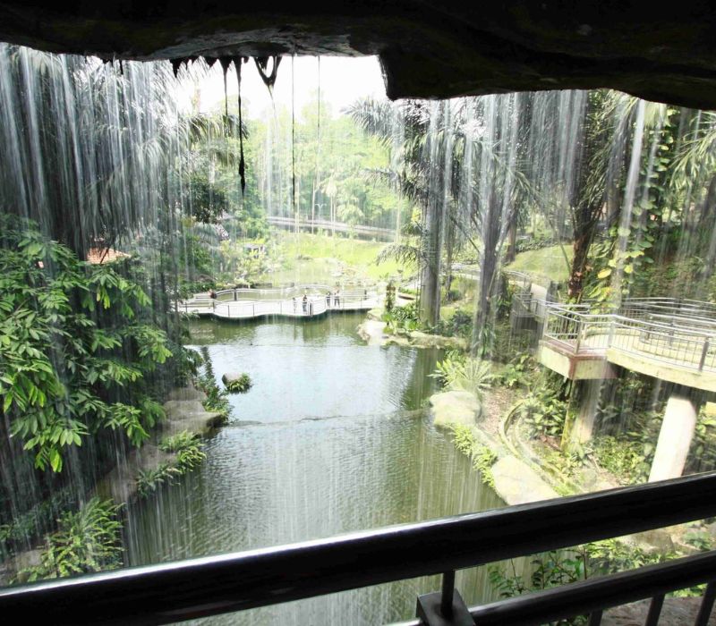 KL Bird Park, thiên đường chim muông ngay tại Kuala Lumpur 3