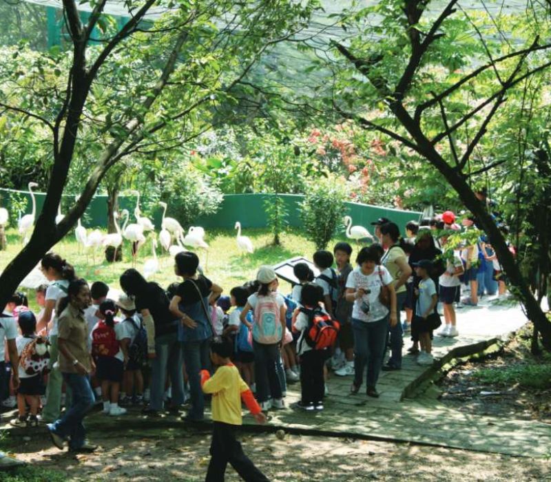 KL Bird Park, thiên đường chim muông ngay tại Kuala Lumpur 5