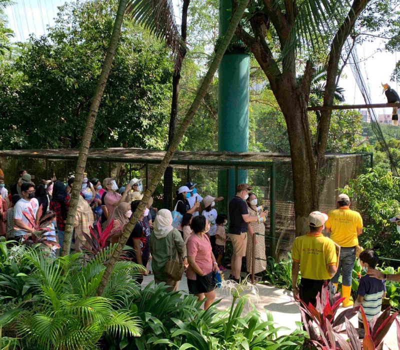 KL Bird Park, thiên đường chim muông ngay tại Kuala Lumpur 9