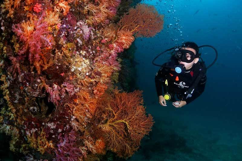 Khám phá vẻ đẹp thần tiên của Koh Lanta, hòn đảo quyến rũ tại Thái Lan 4