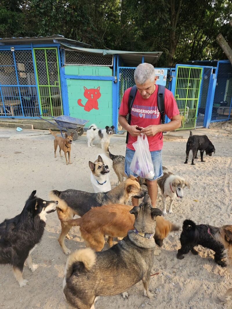 Koh Samui, thiên đường nguyên sơ với vẻ đẹp trù phú 15