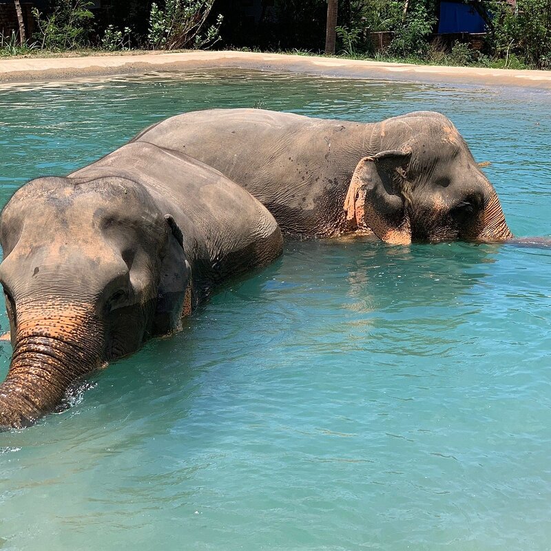 Koh Samui, thiên đường nguyên sơ với vẻ đẹp trù phú 19