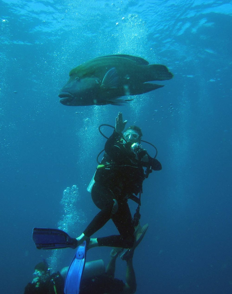 Koh Similan, thiên đường chốn hạ giới ngoài khơi Thái Lan 12