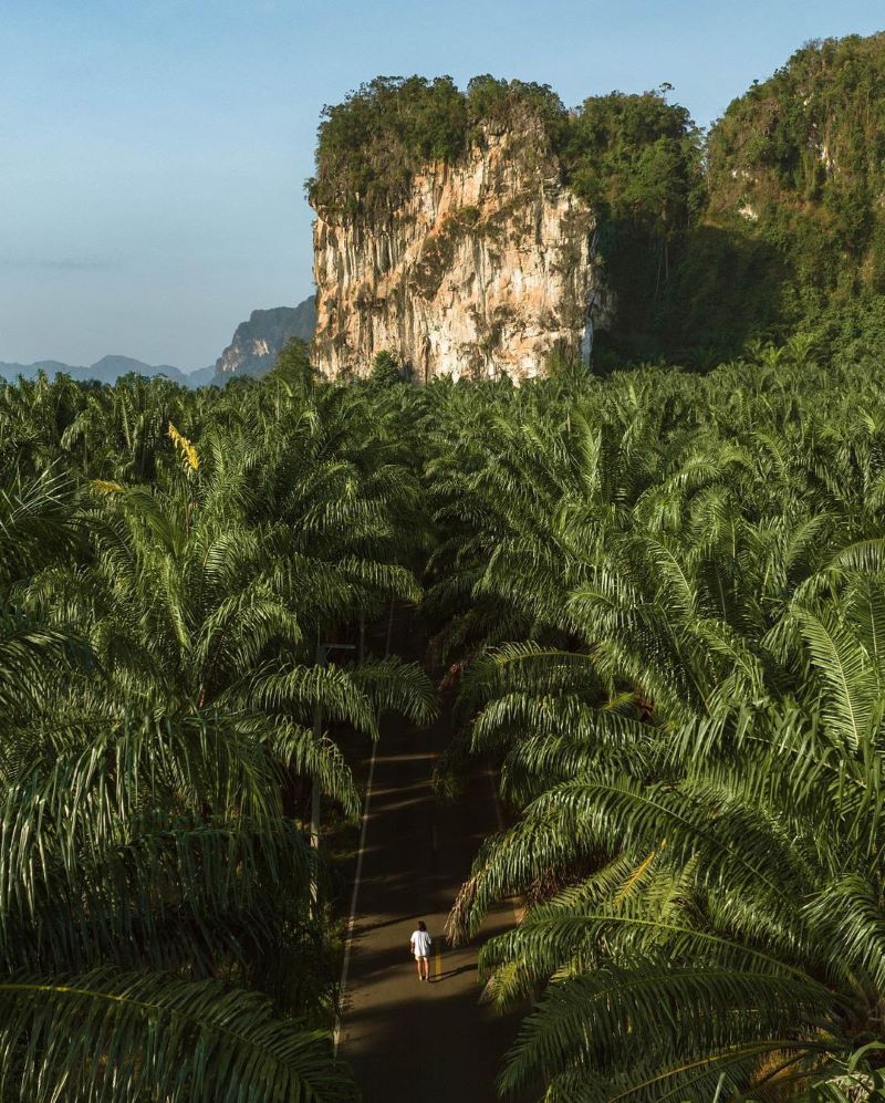 Krabi Thailand, ngỡ ngàng vẻ đẹp của vùng đất bị bỏ quên 15