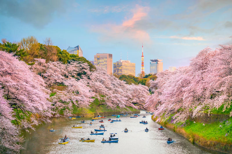 Mê mẩn trước kỳ quan kiến trúc Hoàng cung Tokyo tại Nhật Bản 10