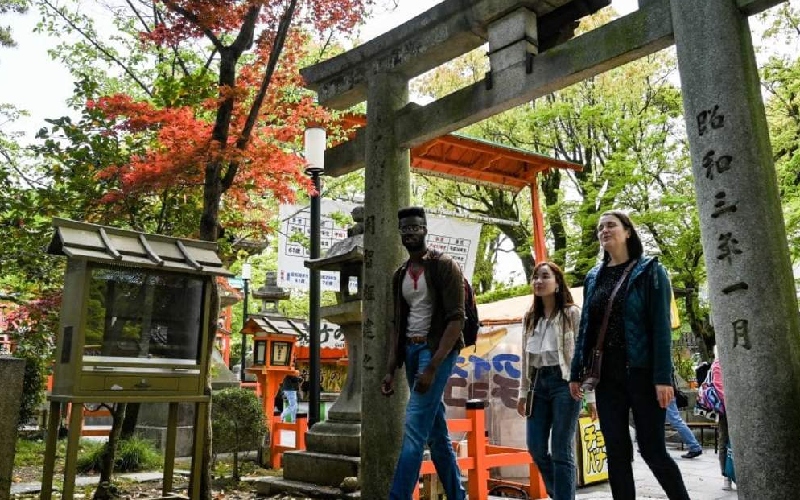 Kyoto: Cố đô ngàn năm và hành trình chạm linh hồn Nhật Bản 11