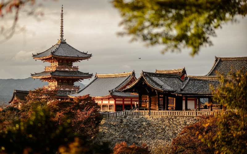 Kyoto: Cố đô ngàn năm và hành trình chạm linh hồn Nhật Bản 3