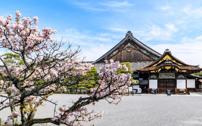 Kyoto: Cố đô ngàn năm và hành trình chạm linh hồn Nhật Bản 7