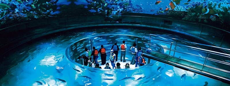 Du lịch Kyushu và những trải nghiệm không thể bỏ lỡ 7