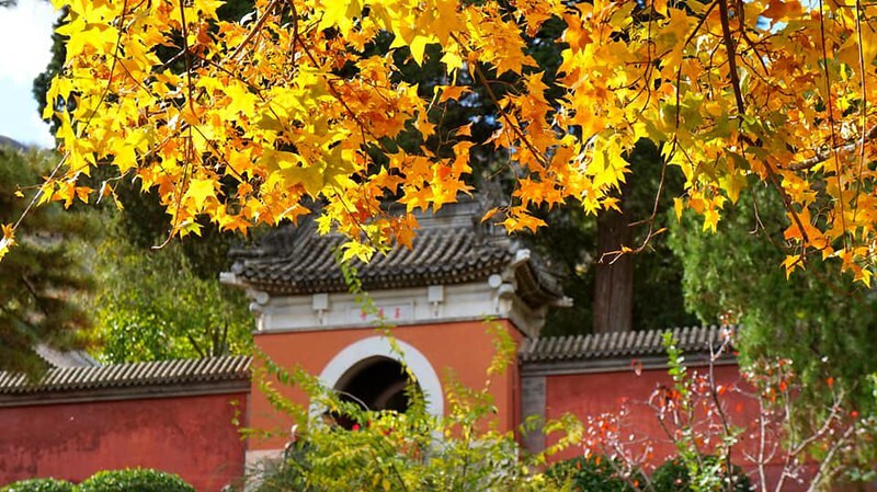 Du lịch Lạc Dương Trung Quốc, cố đô nghìn năm nhiều cái ‘nhất’ 4