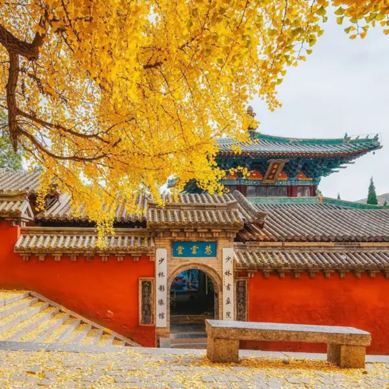 Du lịch Lạc Dương Trung Quốc, cố đô nghìn năm nhiều cái ‘nhất’ 11
