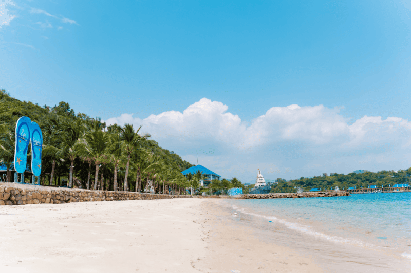 Lạc vào Thủy cung Trí Nguyên Nha Trang thu nhỏ giữa thành phố biển 17