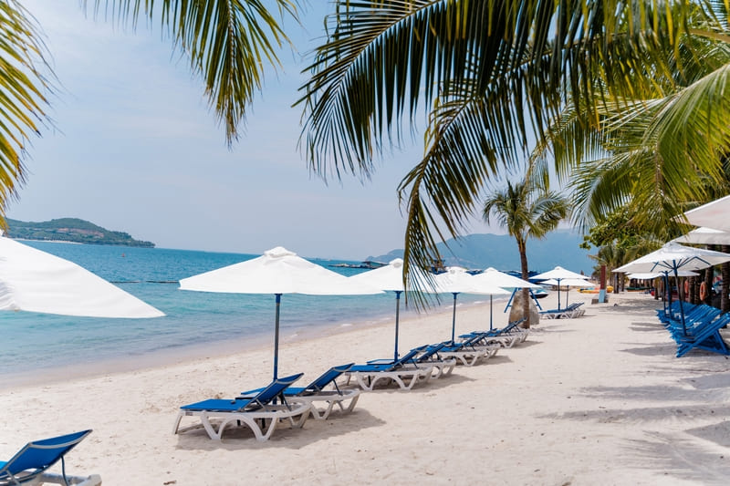 Lạc vào Thủy cung Trí Nguyên Nha Trang thu nhỏ giữa thành phố biển 4