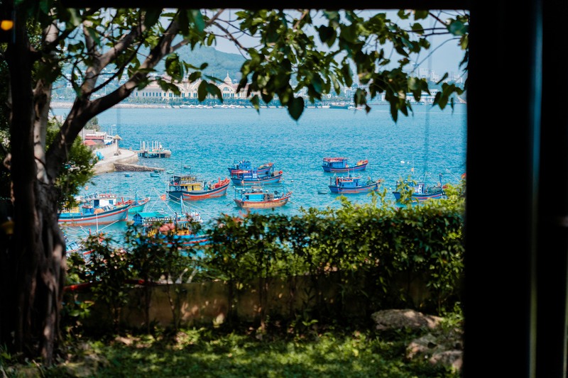 Lạc vào Thủy cung Trí Nguyên Nha Trang thu nhỏ giữa thành phố biển 10