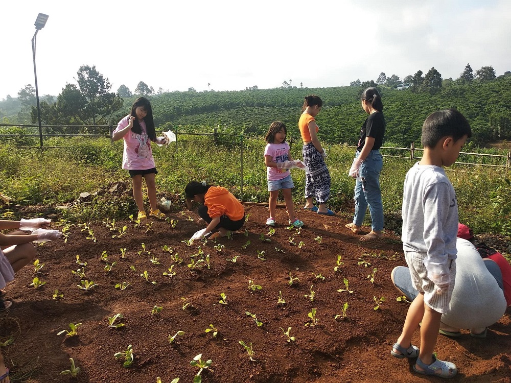 Lạc vào Vintage Garden's Farmstay cực đẹp tại Bảo Lộc 10