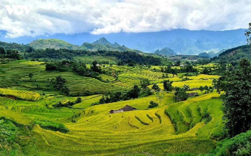 Cẩm nang khám phá Lai Châu từ đỉnh núi đến bản làng 11