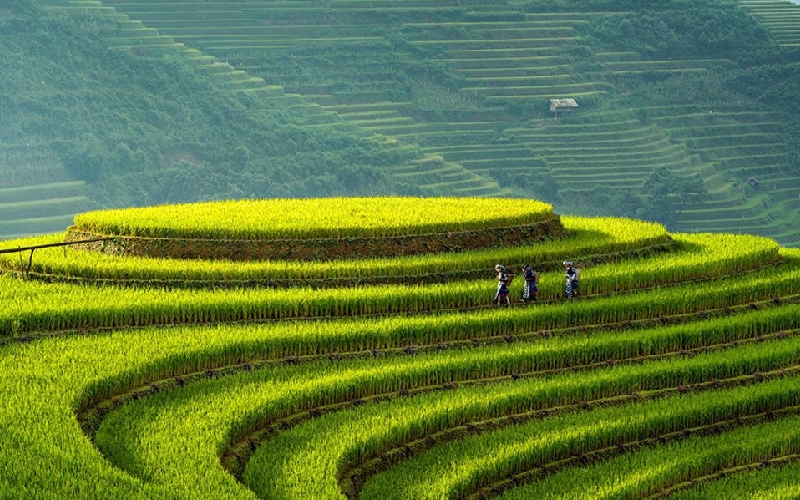 Cẩm nang khám phá Lai Châu từ đỉnh núi đến bản làng 7