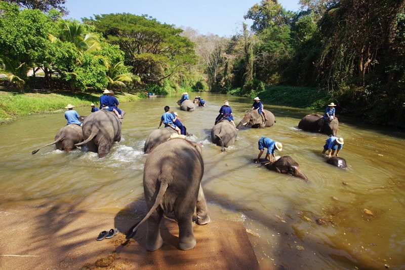 Lampang Thái Lan thị trấn bình yên bên tiếng vó ngựa lọc cọc 8