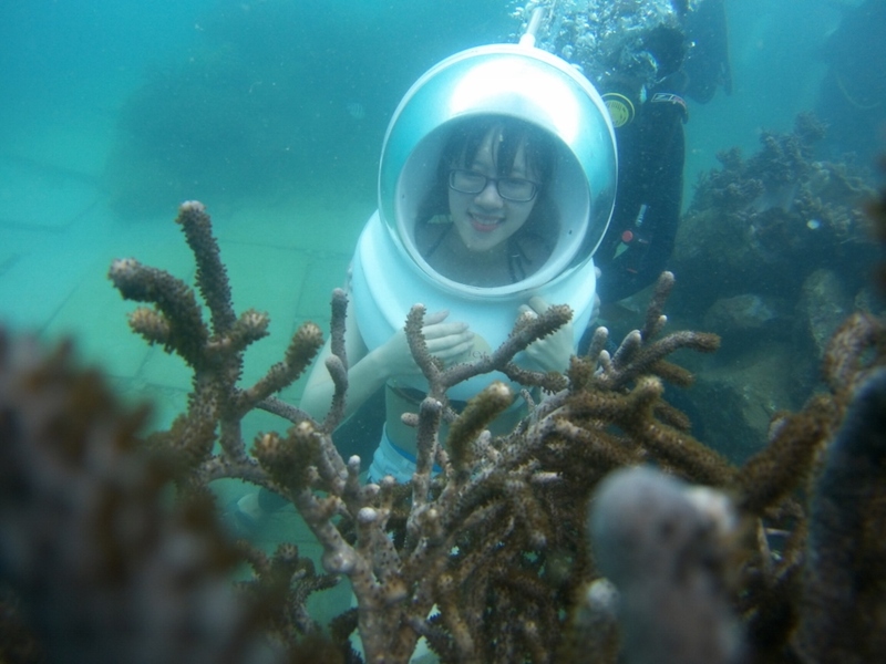 Top 4 địa điểm lặn biển Nha Trang mang đến thế giới đại dương diễm lệ 6