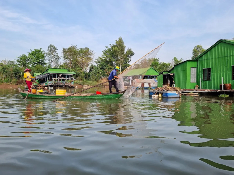 Làng bè Châu Đốc rực rỡ sắc màu bên bờ sông Hậu 4