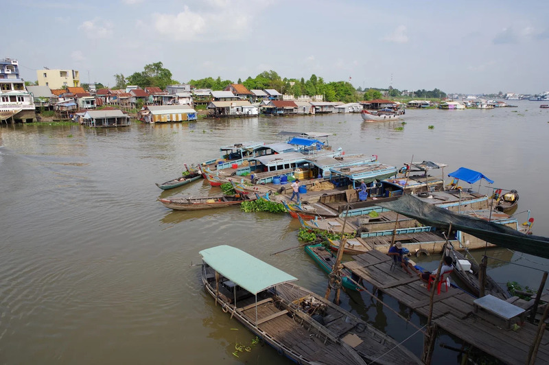 Làng bè Châu Đốc rực rỡ sắc màu bên bờ sông Hậu 5