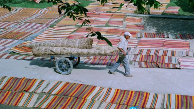 Làng Cẩm Nê: Nơi dệt nên hồn thơ xứ Quảng qua từng sợi chiếu 5