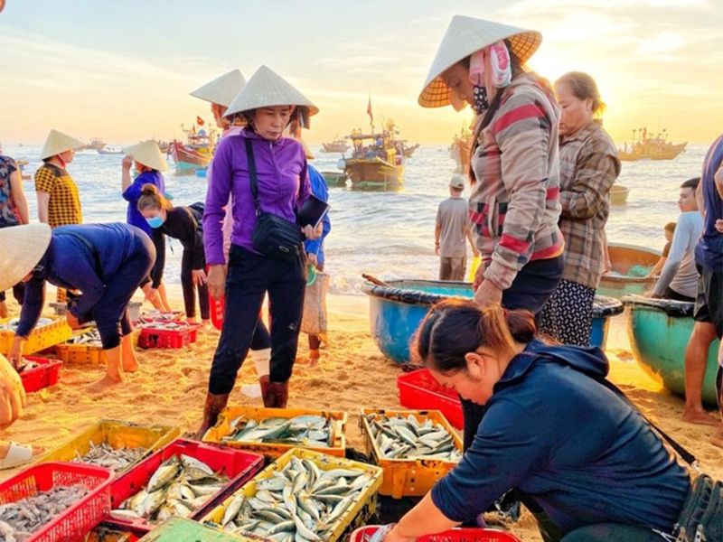 Làng chài Nhân Trạch và trải nghiệm đón thuyền cá lúc bình minh 5