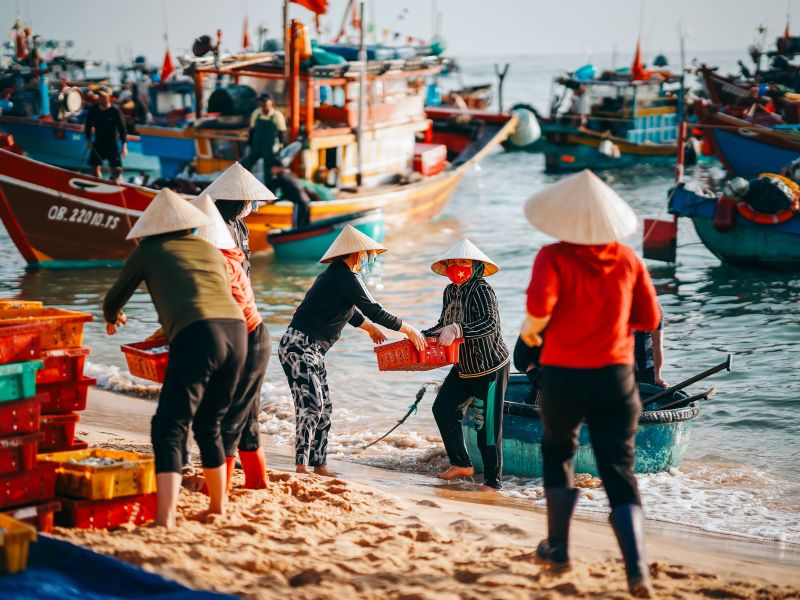 Làng chài Nhân Trạch và trải nghiệm đón thuyền cá lúc bình minh 7