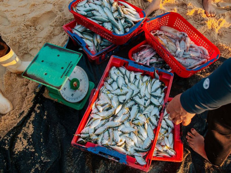 Làng chài Nhân Trạch và trải nghiệm đón thuyền cá lúc bình minh 6