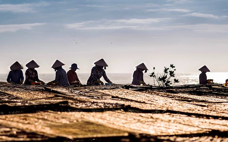 Làng chài Phước Hải: Viên ngọc thô mộc mạc bên biển Vũng Tàu 11