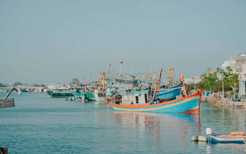 Làng chài Phước Hải: Viên ngọc thô mộc mạc bên biển Vũng Tàu 5