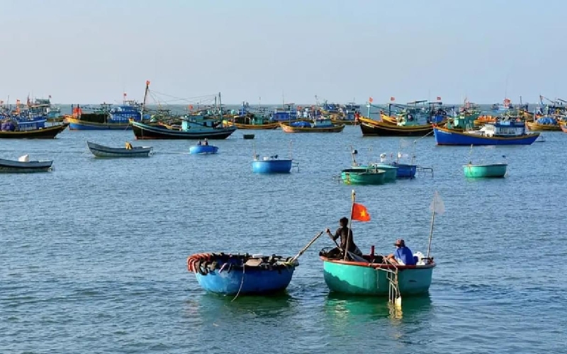 Làng chài Phước Hải: Viên ngọc thô mộc mạc bên biển Vũng Tàu 6