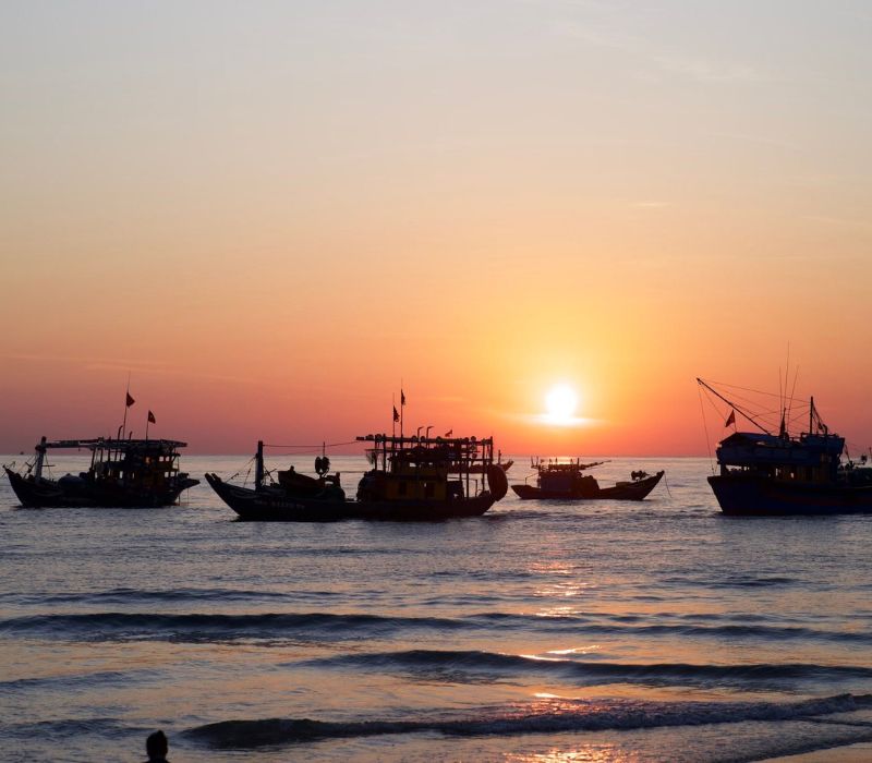 Làng chài Tam Tiến: Kinh nghiệm khám phá 'bản giao hưởng' bình minh trên biển Quảng Nam 4