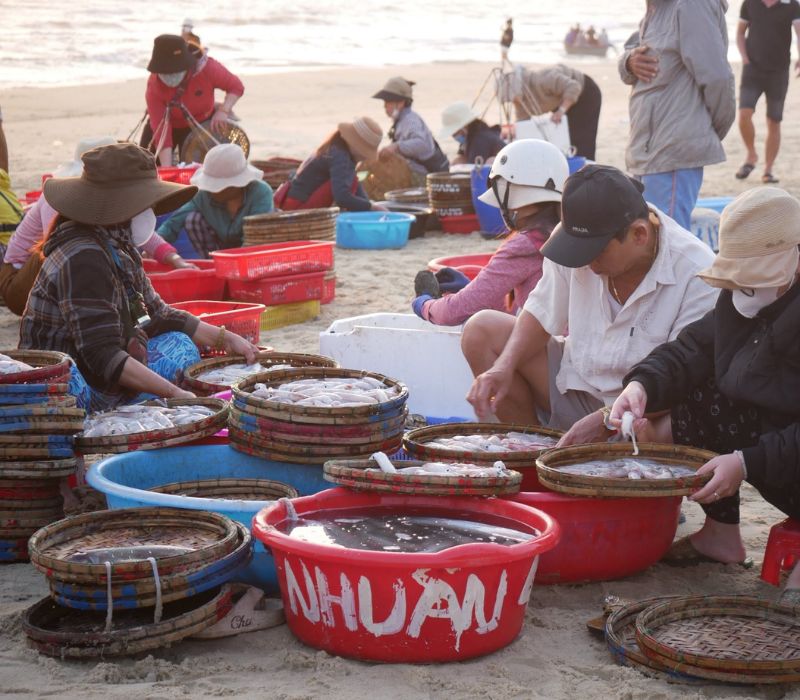 Làng chài Tam Tiến: Kinh nghiệm khám phá 'bản giao hưởng' bình minh trên biển Quảng Nam 5