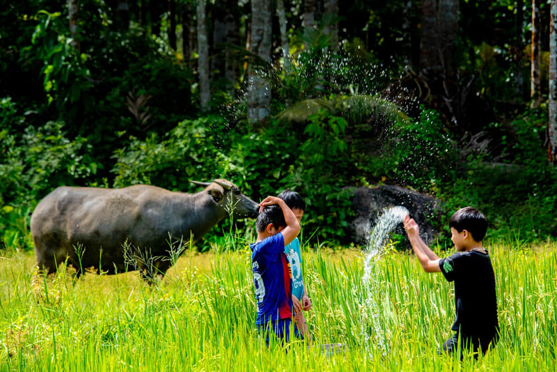 Làng cổ Lộc Yên: Miền tiên cảnh nơi đất Quảng 5