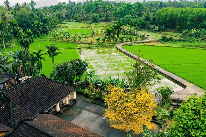 Làng cổ Lộc Yên: Miền tiên cảnh nơi đất Quảng 7