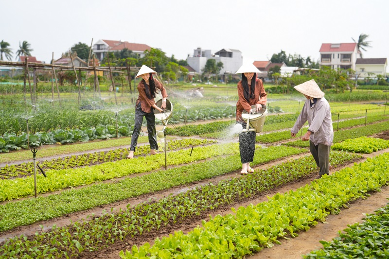 Top 5 làng du lịch cộng đồng đi qua hành trình di sản đầy cảm xúc 5