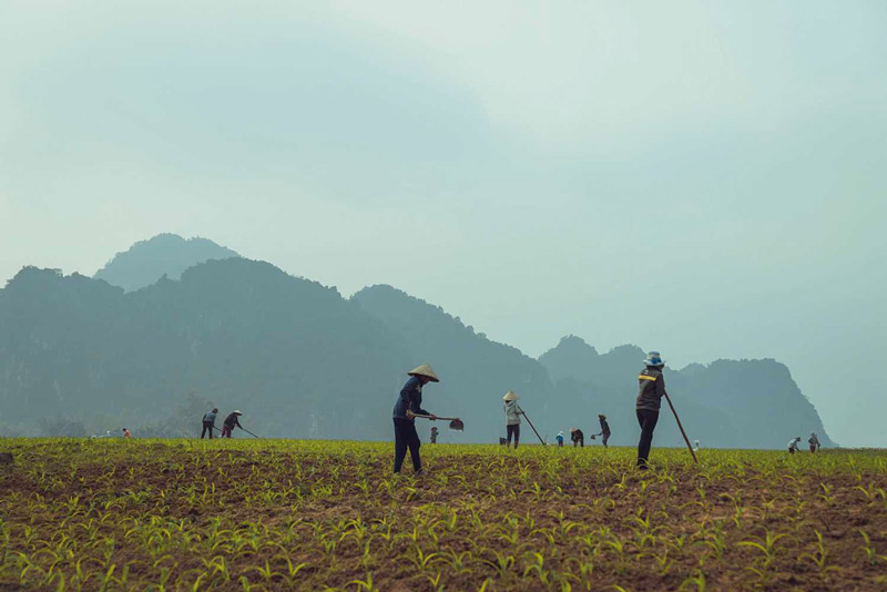 Khám phá thiên thiên và bản sắc văn hóa độc đáo tại Làng du lịch Tân Hoá 4