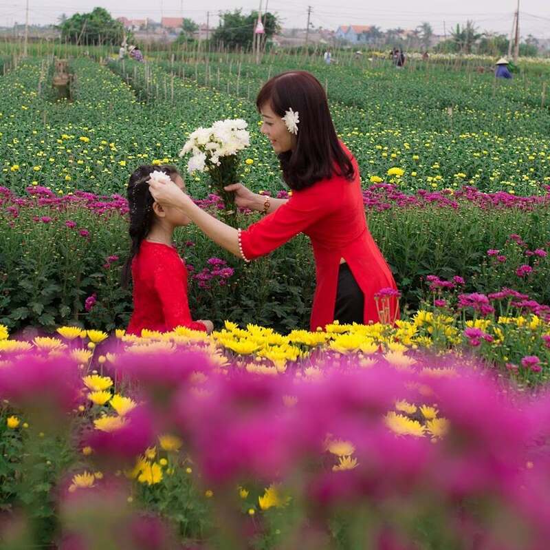 Về thăm Làng hoa Hạ Lũng để được chiêm ngưỡng vô vàn các loài hoa 2