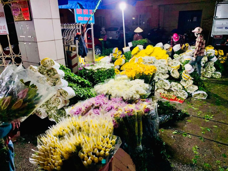 Về thăm Làng hoa Hạ Lũng để được chiêm ngưỡng vô vàn các loài hoa 3
