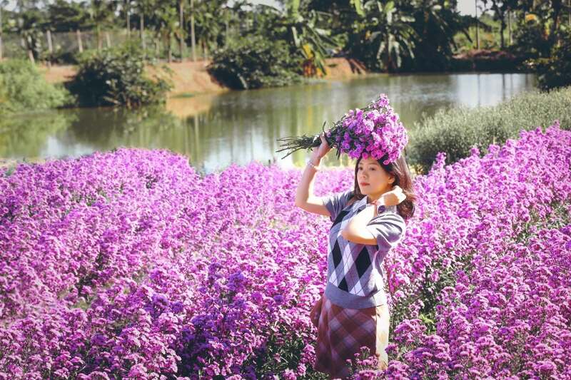 Về thăm Làng hoa Hạ Lũng để được chiêm ngưỡng vô vàn các loài hoa 5