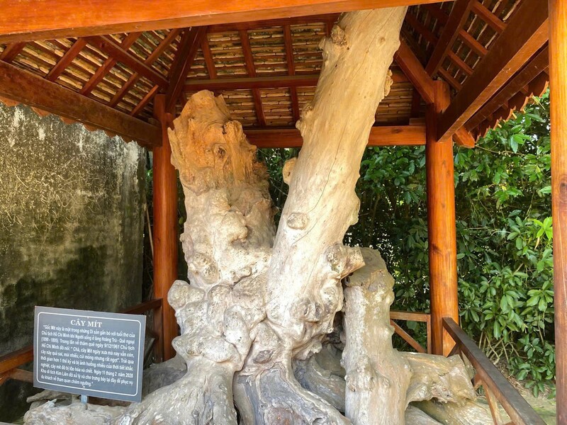 Về Làng Hoàng Trù thăm quê ngoại Bác Hồ 9