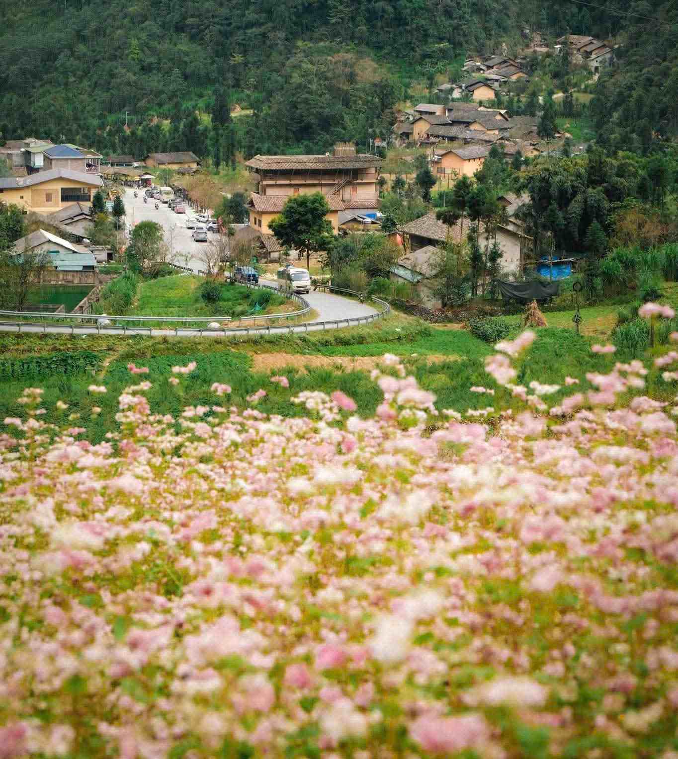 Làng Lô Lô Chải đẹp tựa cổ tích tại Hà Giang 5
