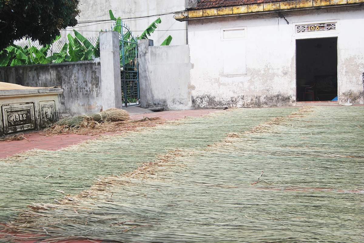 Làng nghề cói Kim Sơn - Sắt son gắn bó với nghề truyền thống hơn 200 năm 3