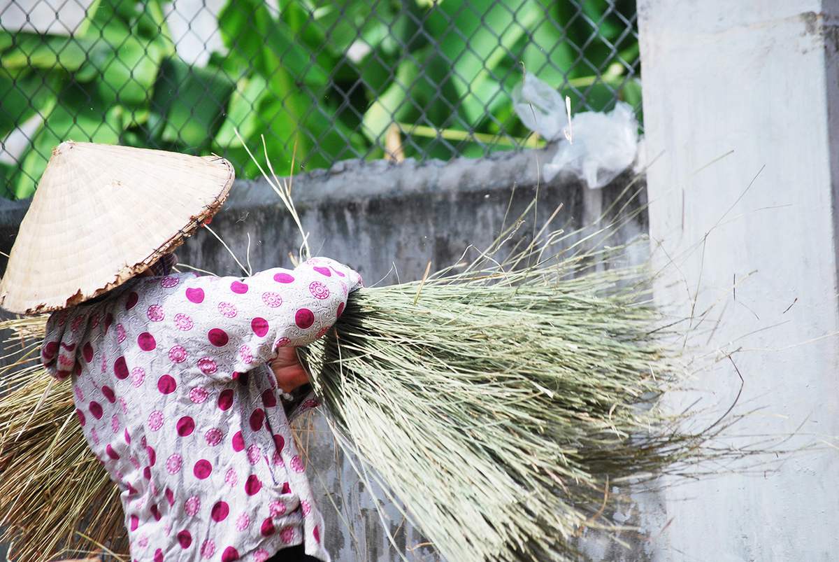 Làng nghề cói Kim Sơn - Sắt son gắn bó với nghề truyền thống hơn 200 năm 4