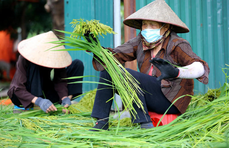 8 Làng nghề truyền thống lâu đời tại Hà thành cổ kính 5