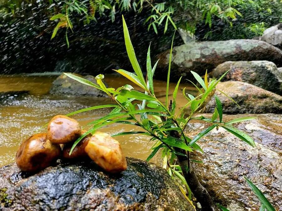 Làng Nhỏ (Hồ Láng Nhớt), điểm cắm trại yên bình cực gần Nha Trang 2